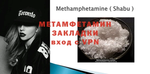 прущие грибы Горно-Алтайск