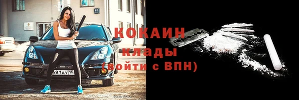 амф Горняк