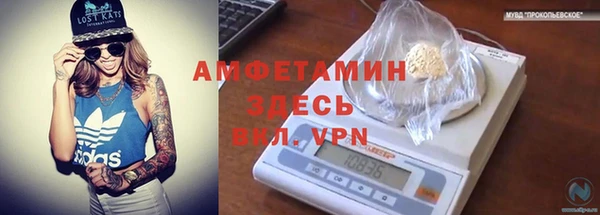 амф Горняк