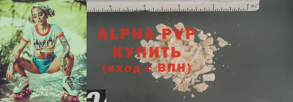 прущие грибы Горно-Алтайск