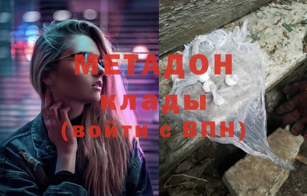 прущие грибы Горно-Алтайск