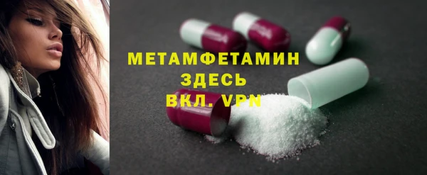 прущие грибы Горно-Алтайск