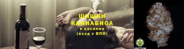 амф Горняк