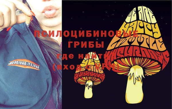 герыч Горнозаводск