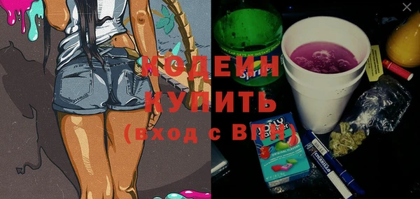амф Горняк