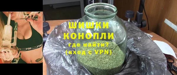 прущие грибы Горно-Алтайск