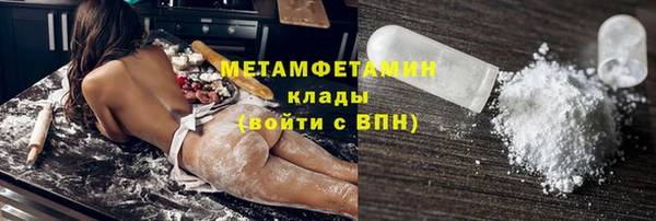 прущие грибы Горно-Алтайск