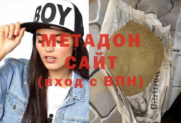 прущие грибы Горно-Алтайск