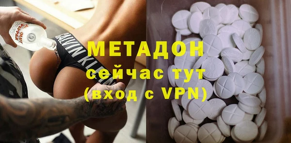 прущие грибы Горно-Алтайск
