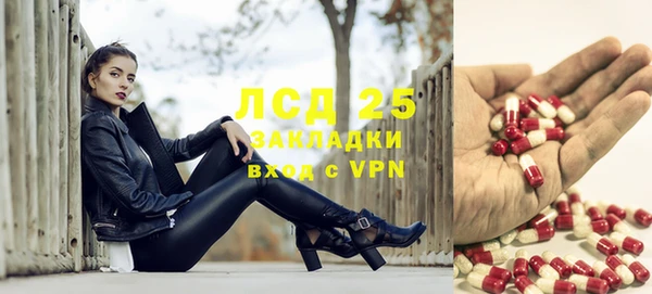амф Горняк