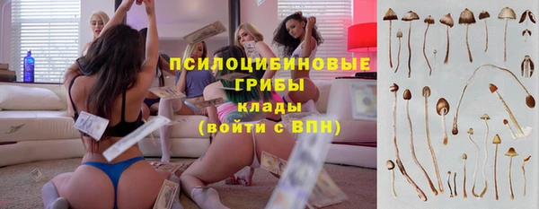 герыч Горнозаводск