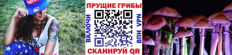 Купить закладки  Фрязино  Галлюциногенные грибы Psilocybe 